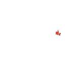 Creator Ads